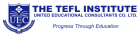 The TEFL Institute