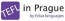 TEFL in Prague