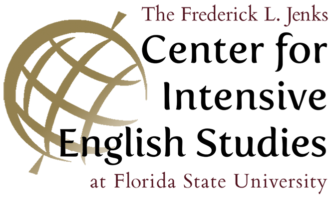 Center for Intensive Studies logo